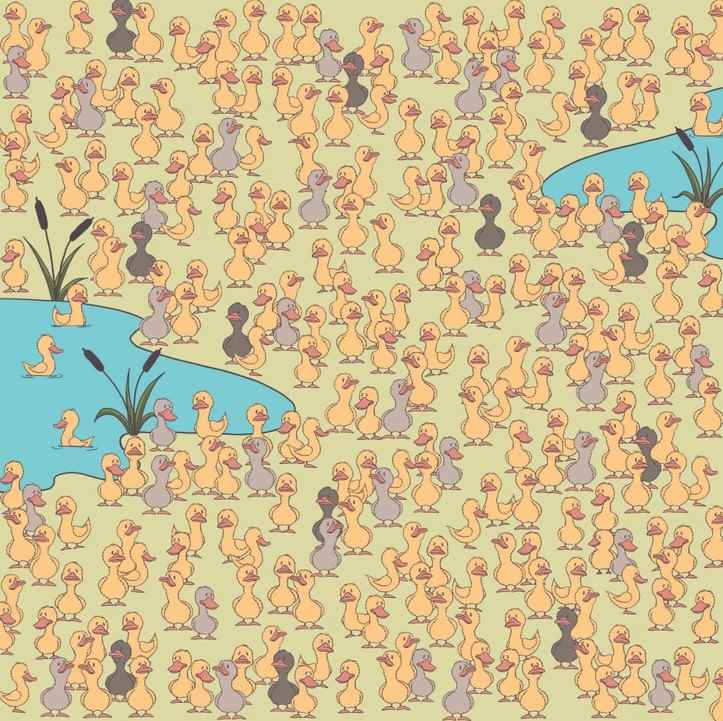 Мистерија и главна ствар