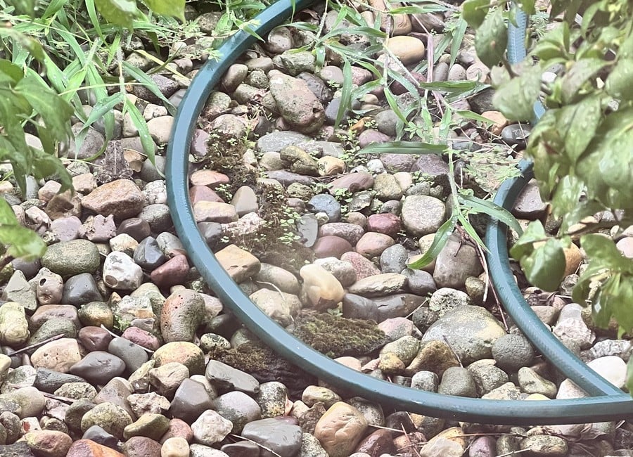 Оптичка илузија: Пронађите скривену жабу