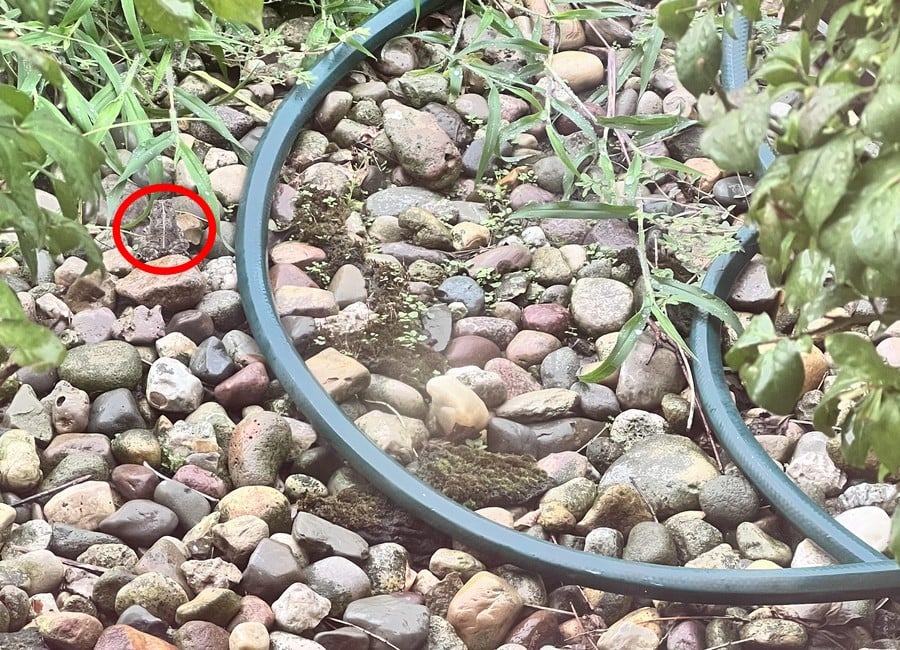 Решење оптичке илузије