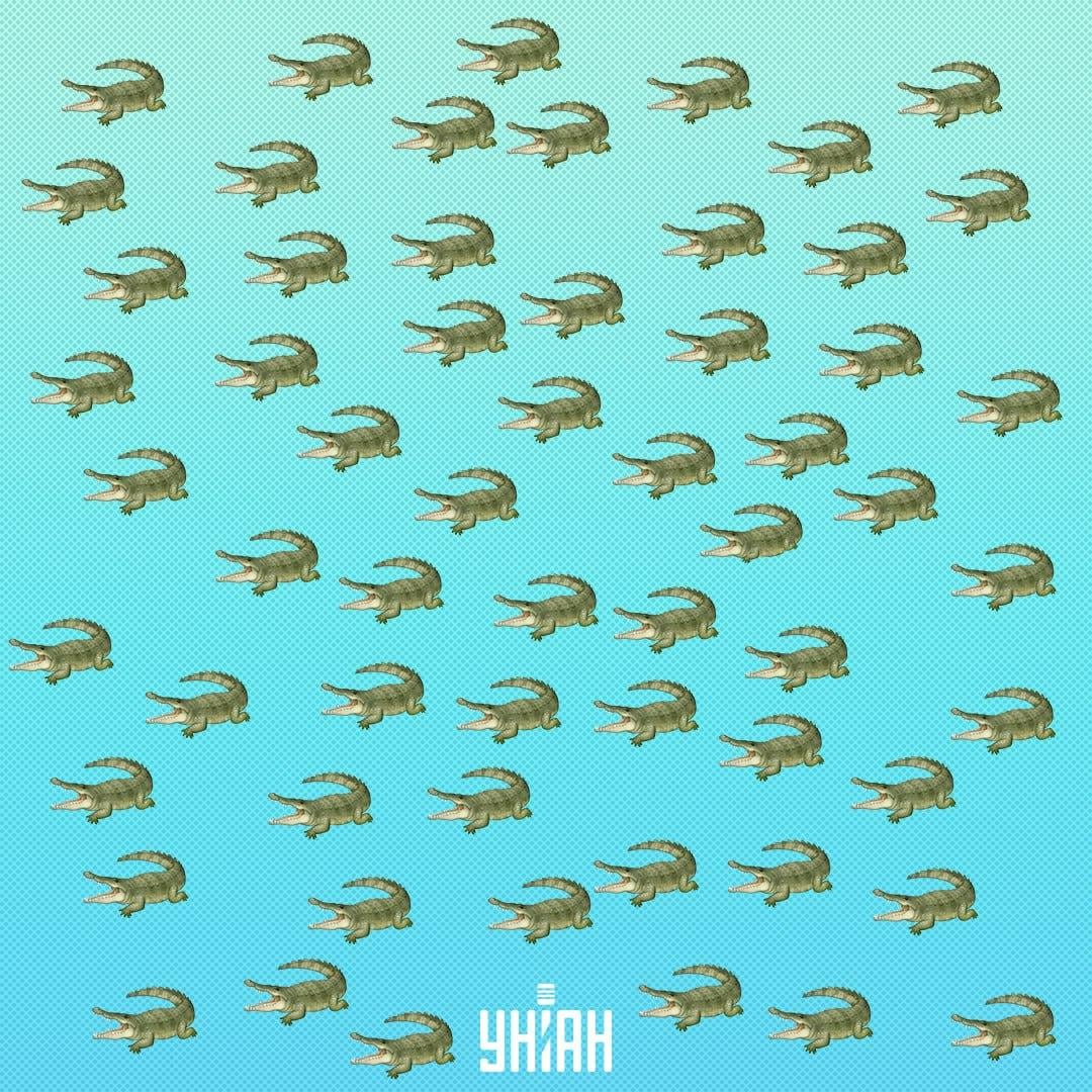 Гмизавац се сакрио, али се мора видети за 15 секунди / Колаж УНИАН