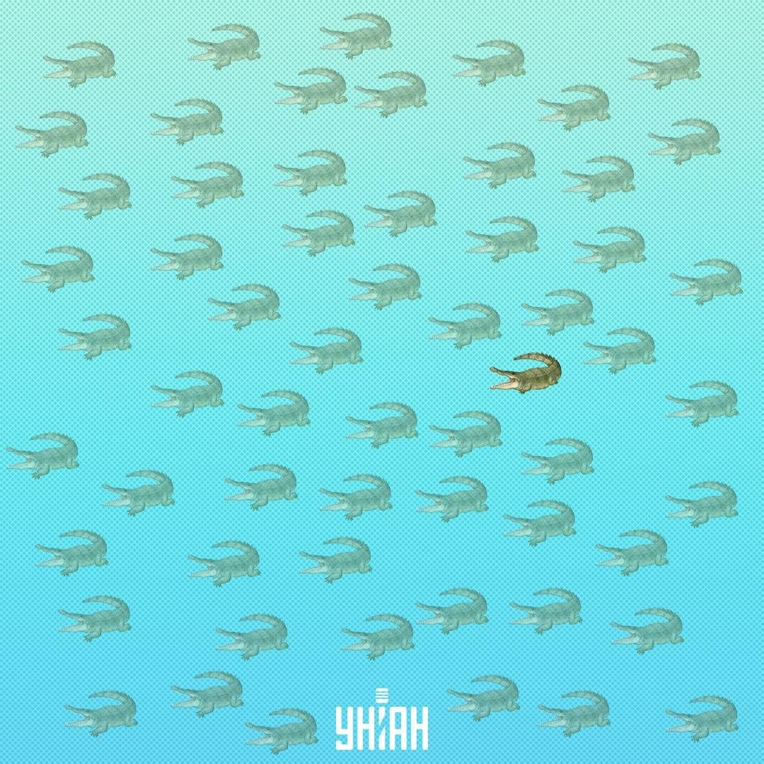 Било је потребно тражити га ближе центру, на десној страни / Колаж УНИАН