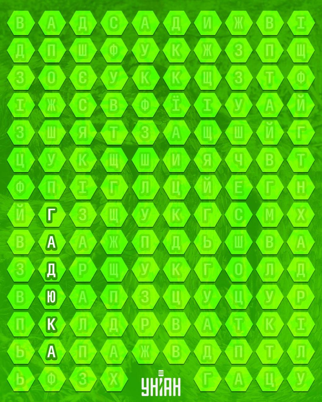 колаж УНИАН