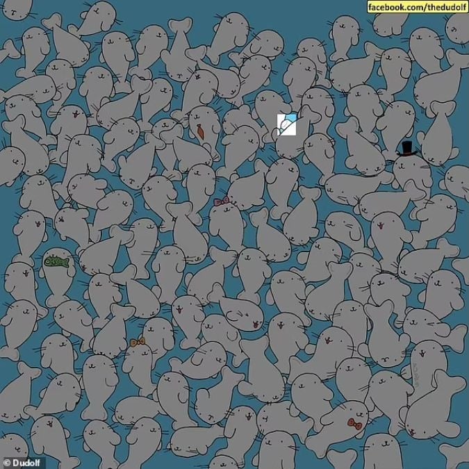 Загонетка за људе са оштрим видом: пронађите бели слез међу фокама за 11 секунди