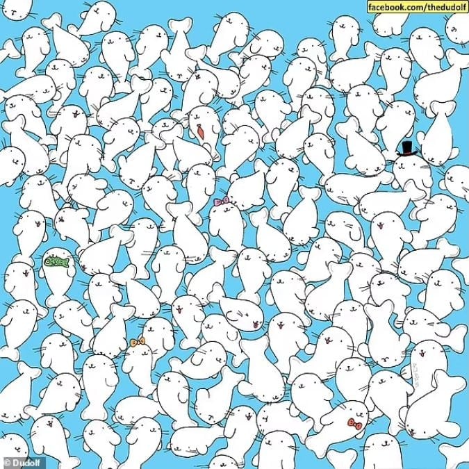 Загонетка за људе са оштрим видом: пронађите бели слез међу фокама за 11 секунди