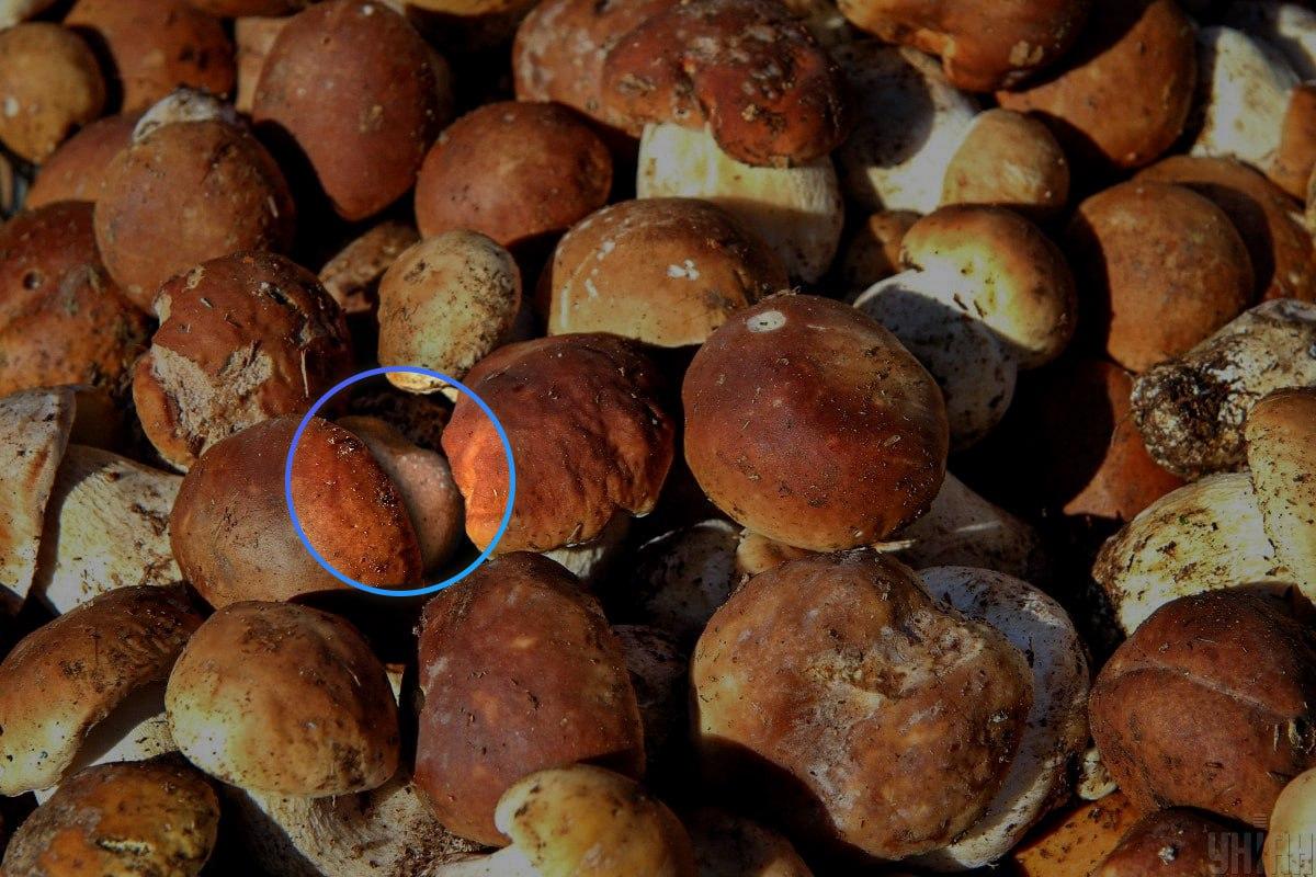 Камен је био скоро у центру оптичке илузије / УНИАН колаж