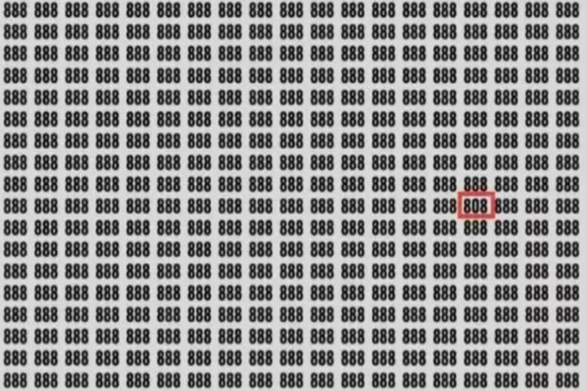 Одговор на загонетку / фото Јагран Јосх