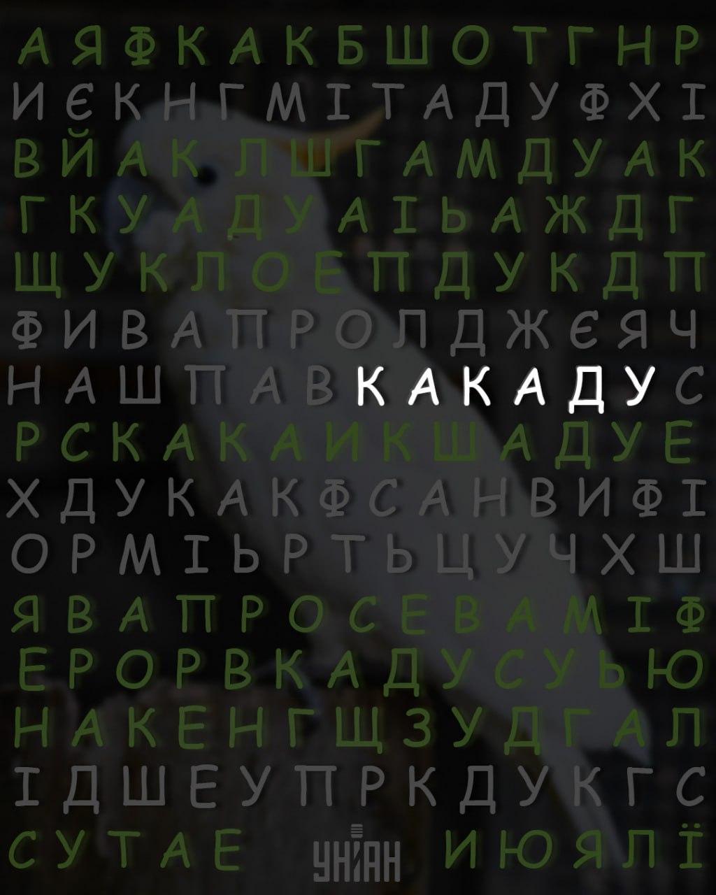 колаж УНИАН