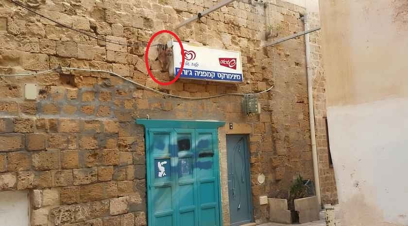 Оптичка илузија