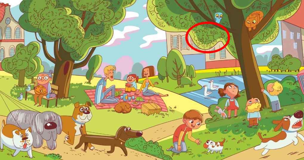 Само неколико људи може да уради овај задатак: треба да пронађете лава у парку за 6 секунди