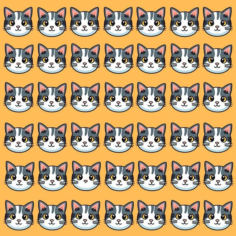 Ова оптичка илузија је могућа само за људе са одличним ИК-ом / имаге УНИАН