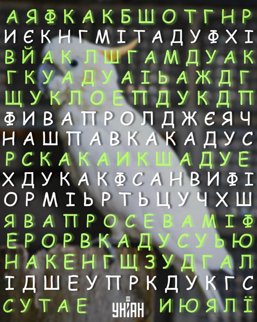 колаж УНИАН колаж УНИАН