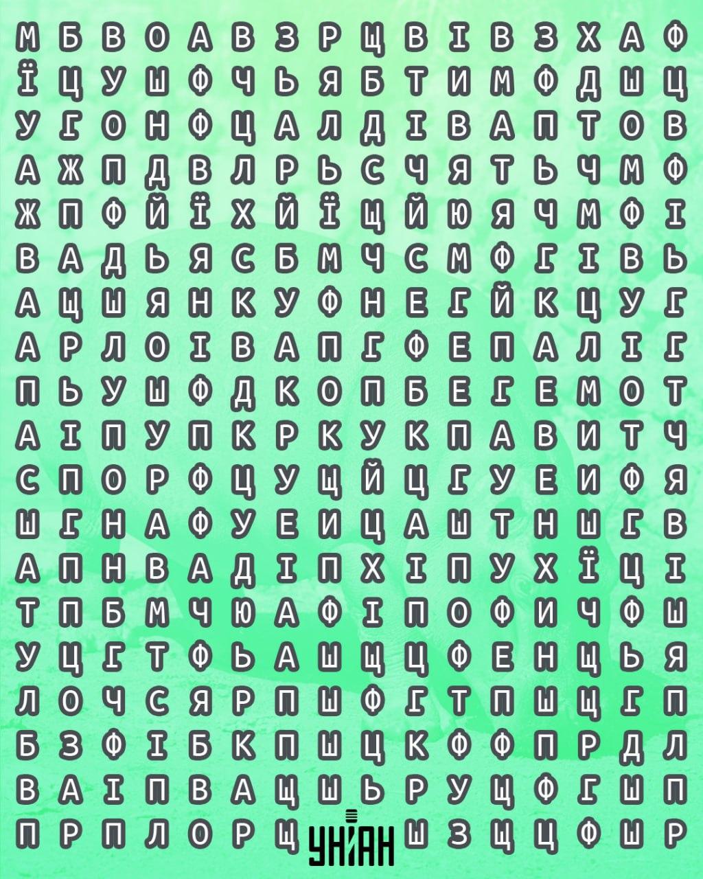 колаж УНИАН