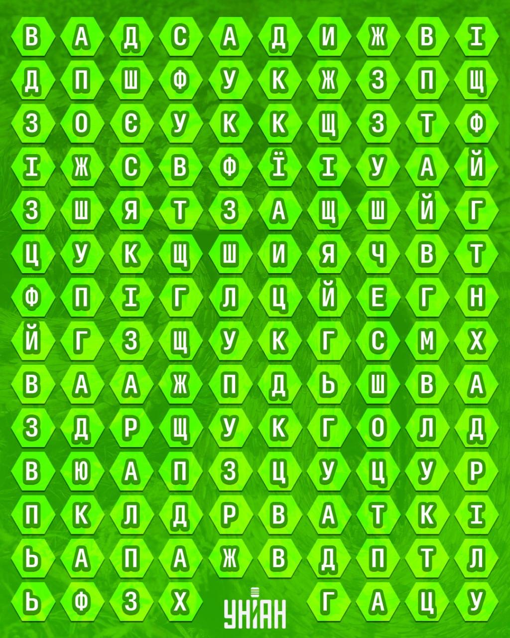 колаж УНИАН