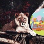 Само неколико људи може да уради овај задатак: треба да пронађете лава у парку за 6 секунди Само неколико људи може да уради овај задатак: треба да