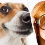 Само прави ИК титан ће видети пса у снегу за 10 секунди: оптичка илузија која одузима дах Само прави ИК титан ће видети пса у снегу за