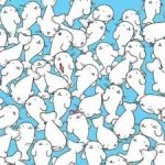 Загонетка за људе са оштрим видом: пронађите бели слез међу фокама за 11 секунди Загонетка за људе са оштрим видом: пронађите бели слез међу